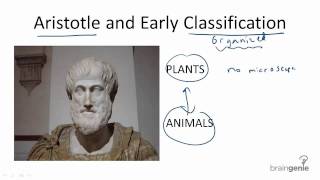 13.1.1 Aristotle and Early Classification
