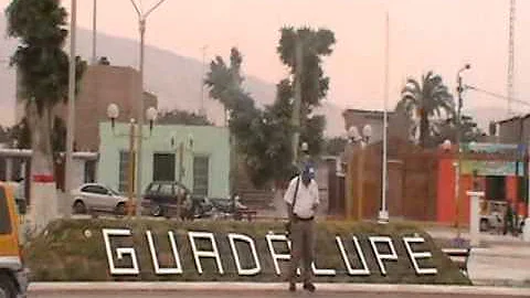 salas guadalupe-ica