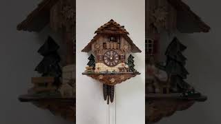 鳩時計専門店ヴァルト　本物のフクロウ時計