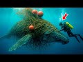 Огромный кит умолял о помощи. То, что сделал дайвер, всех шокировало!