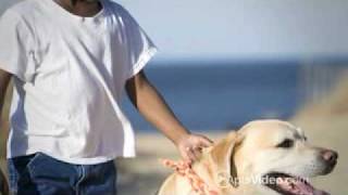 Arlington Gardens Apartments in Riverside CA - ForRent com