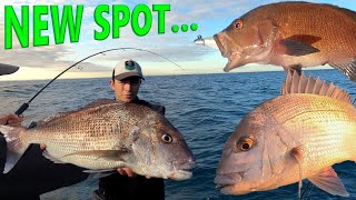 Morning Session Produced the Pinks + Spot Reveal! | Perth Inshore Snapper Fishing