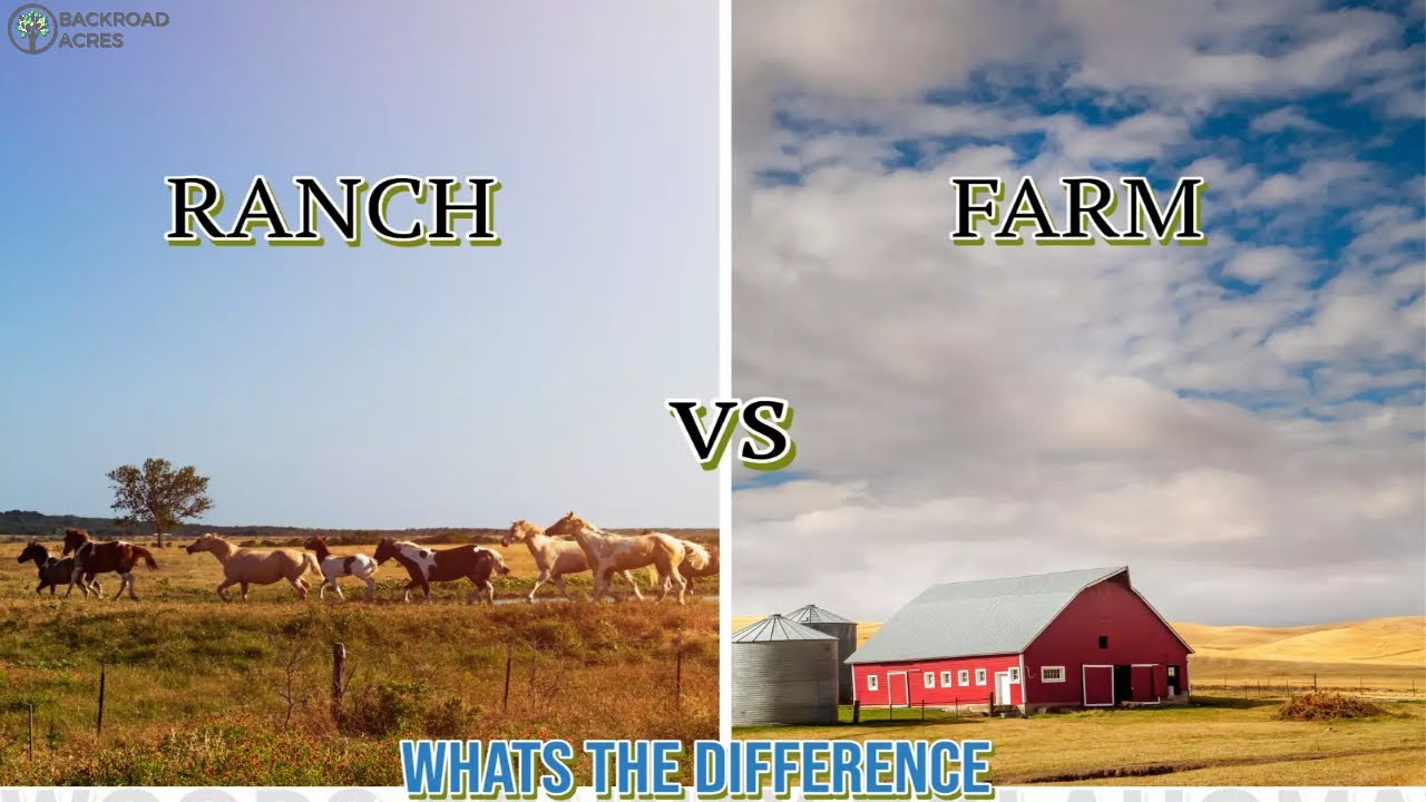 Ranch vs Farm: What’s The Difference?