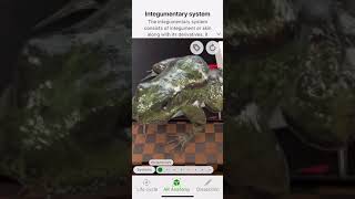 Application : froggipedia