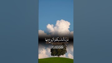 إنا أنزلناه في ليلة القدر #رسالة_من_الله #اكسبلور #قرآن #راحة_نفسية #تلاوة_خاشعة #قرآن