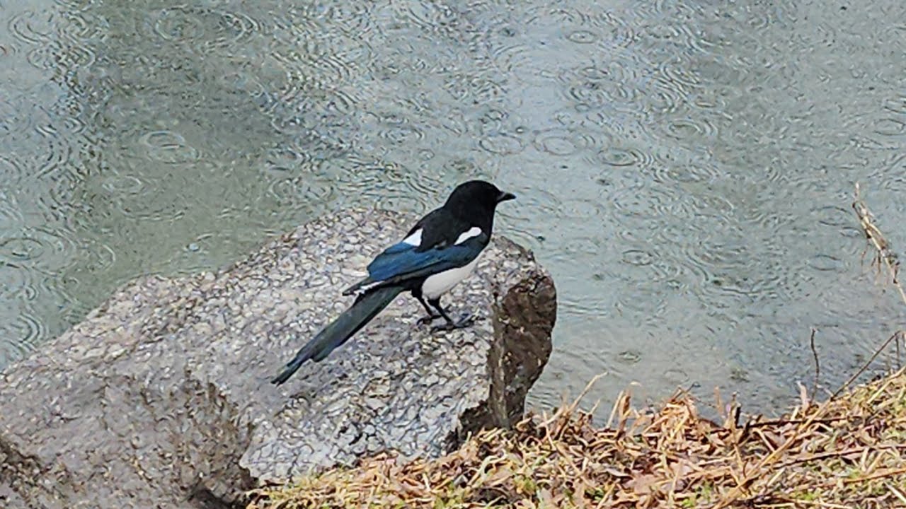 아침 일어니서 이것 안먹으면 늙어요^^ 