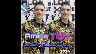 amine tiger صلاحيتك كملت jdid 2024