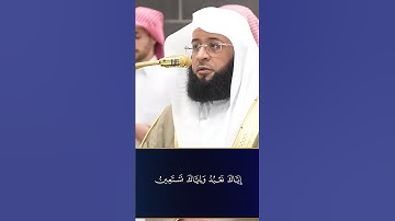 سورة الفاتحة  #بدر_التركي