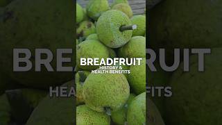 Breadfruit, History & Health Benefits