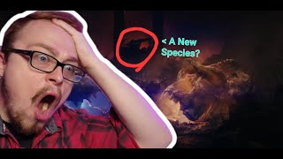 Godzilla x Kong: The New Empire TEASER REACTION AND FIRST IMPRESSIONS | Let's Talk Movies