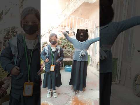 شوف زوزة تريد تاخذ الدب ويها للمدرسة الشعب الصيني ماله حل