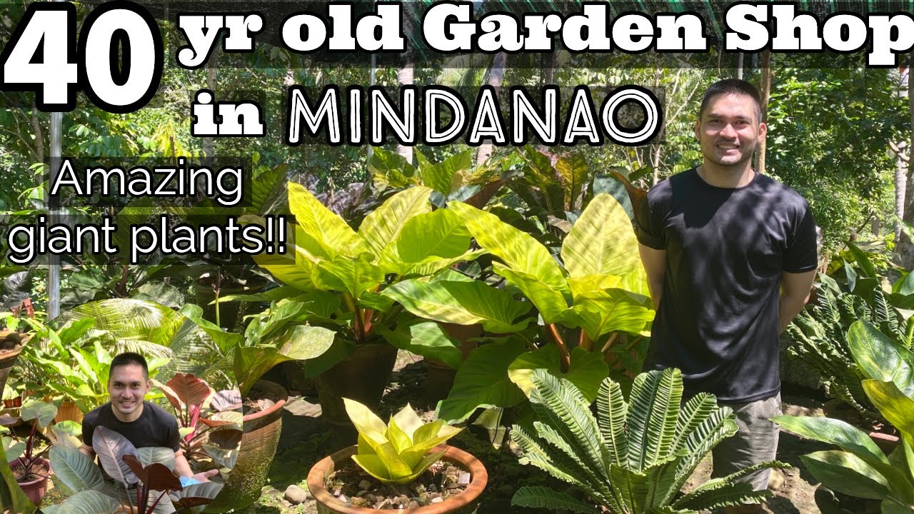 GARDEN RAID: 40YR OLD GARDEN SHOP IN MINDANAO | AMAZING GIANT PLANTS | GARDEN SHOP TOUR