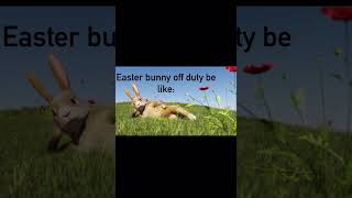 My favorite Easter memes!! 🐣 #heisrisen #easter #jesus #easterbunny #memes