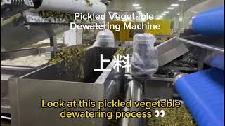 Pickled Vegetable Dewatering Machine | High Efficiency Water Removal