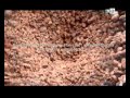 Spot Videos Tv Samar Maroc Juin 2014 By Www Publicitor Ma Mp4 01 