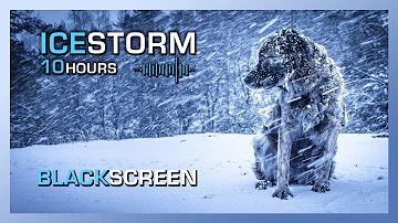 Ice Storm | Sleet and Freezing Rain Ambiance | Black Screen | Sounds for Sleeping | 10 Hours
