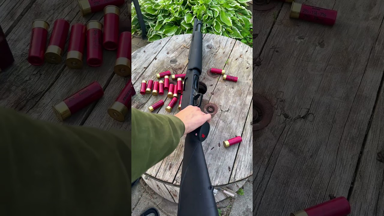 12 Gauge Winchester SXP