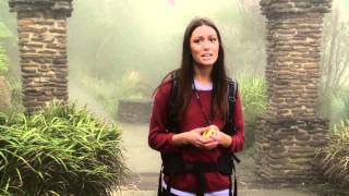 Visitor Information Centre TVC5