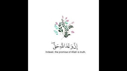 القارئ ادريس ابكر..سورة لقمان.."مقاطع انستقرام"...🌸🌿