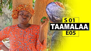 TAAMALA Season 1 - Episode  5