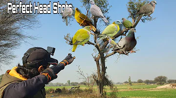 Slingshot Hunting Wild Birds | Best Birds Hunting Video Ever 2023💥