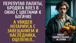 видео: Перепутав палаты бродяга влез в окно с цветами к богачке… Увидев нотариуса с завещанием и наследника картинка: Перепутав палаты бродяга влез в окно с цветами к богачке… Увидев нотариуса с завещанием и наследника