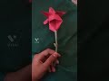 Khushi darshi vlogs craft 