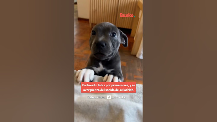 Puppy barks for the first time, and is embarrassed by the sound of his bark