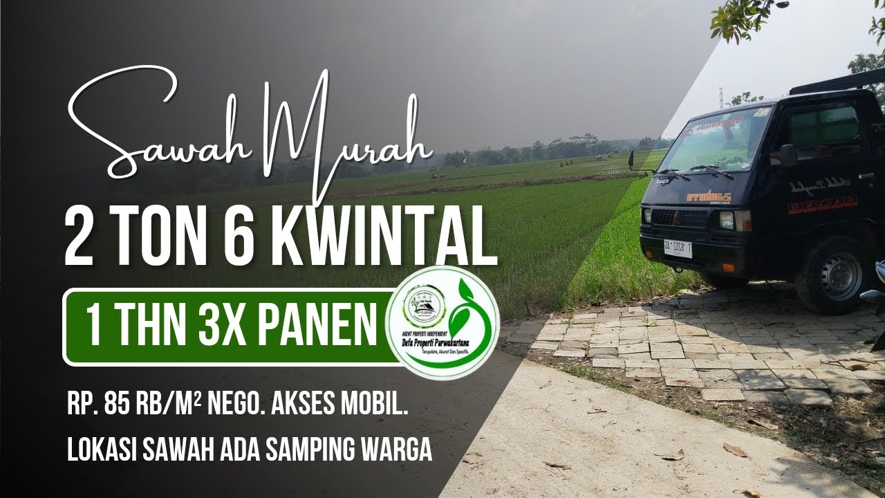 jual-cepat-sawah-produktif-3x-panen-2-ton-6-kwintal-stengah-dalam-1x