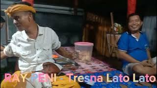 RAY PENI - Tresna Lato Lato Live At Weeding GADA & NOVA ( 28 March 2023 )