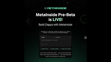 MetaInside Pre-Beta Features | How to develop Dapps with MetaInside?