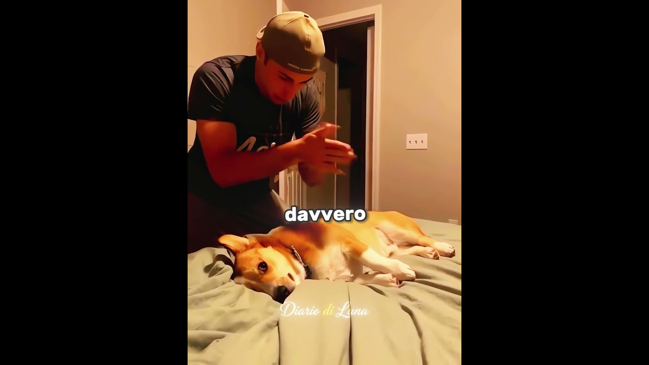 Questo Cane Merita un Oscar 😂🐶