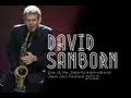 David Sanborn "Comin' Home Baby" Live at Java Jazz Festival 2012