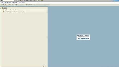 3. Central User Administration (CUA) - Creating System User id - Part 1