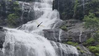 Water fall / vellachattam 