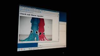 FreeBSD 8.1 on an Abit IP35 Pro, Web Server and KDE 3.5
