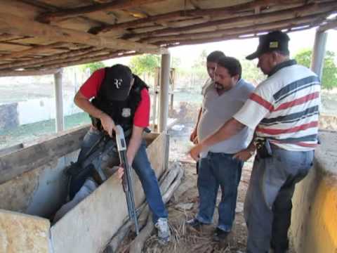 Assalto ao Bradesco de S. J. da Serra-PI. Bandido leva a polícia a arsenal de armas escondida 1/2