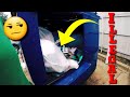 Christmas Eve Dumpster Diving | ILLEGAL Dumping