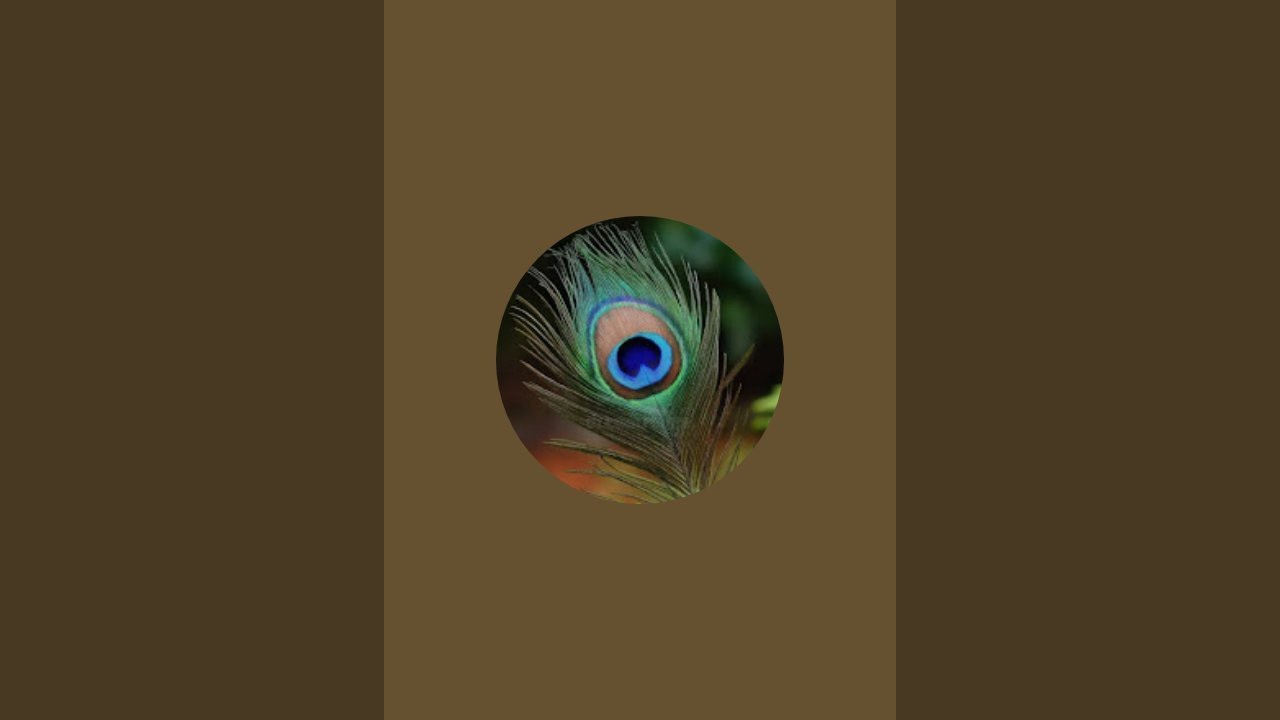 Quotes songs is live