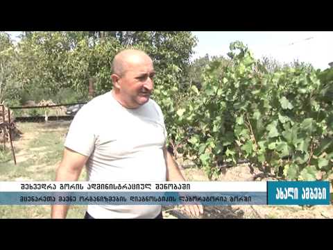 მცენარეთა მავნე ორგანიზმების დიაგნოსტიკის ლაბორატორია გორში  15.09.2015