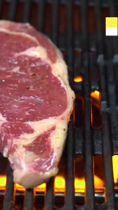 asador fugitivo estufa electrica｜Búsqueda de TikTok