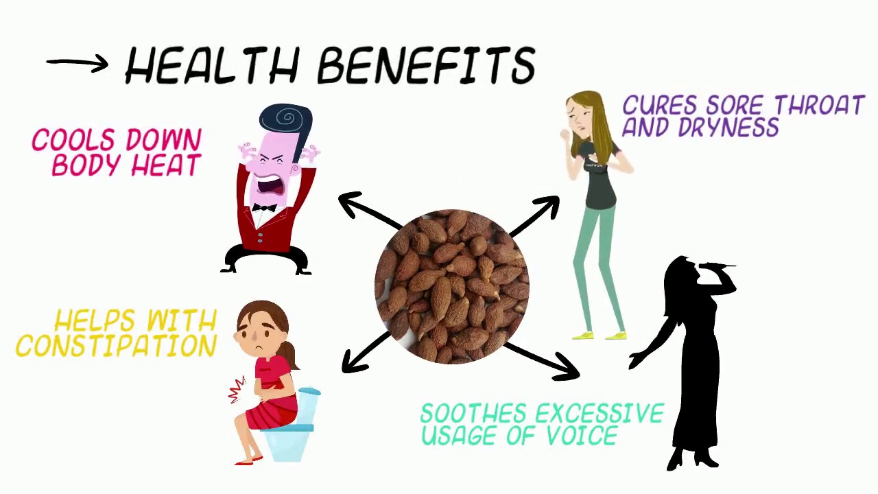 Spices 101 Explained Malva Nut Bunga Kembang Semangkuk Youtube