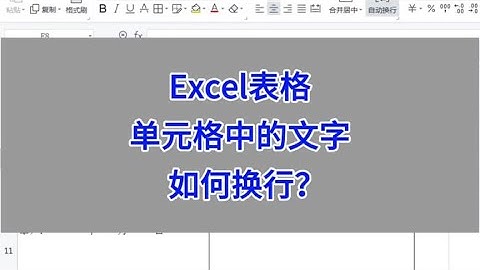 Excel表格：单元格中的文字如何换行？ #wps #excel #办公技巧