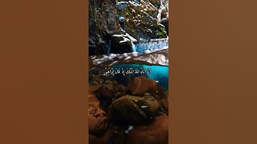 واتس اب قران كريم القارئ ياسر الدوسري (سوره البقرة)