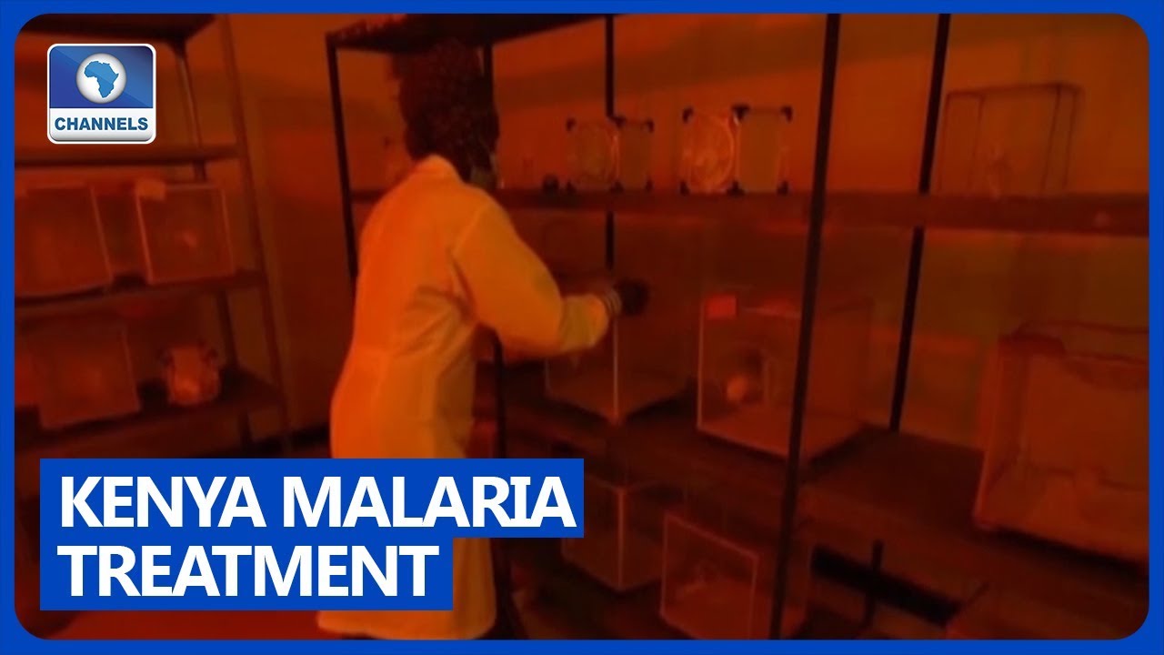 Kenya Malaria Treatment Discovery YouTube