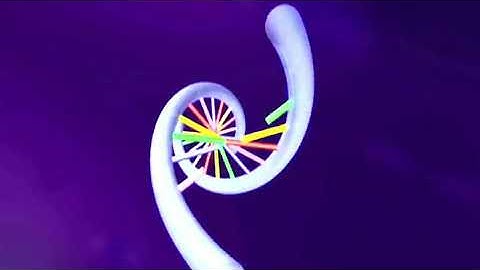 The Ceremony: Original Innocence "TheTemplate"