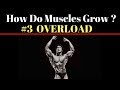 How Do Muscles Grow ? #3 PROGRESSIVE OVERLOAD