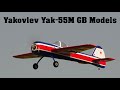 Yakovlev Yak-55M GB Models | aerobatic RC airplane | 4K | MEGA CUP 2023
