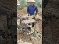 Sawing cassava stems with a circular saw