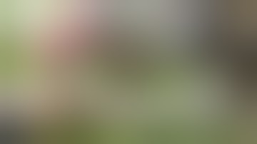 Craft with me - making a Shabby chic framed toppers snippet roll - Part 2